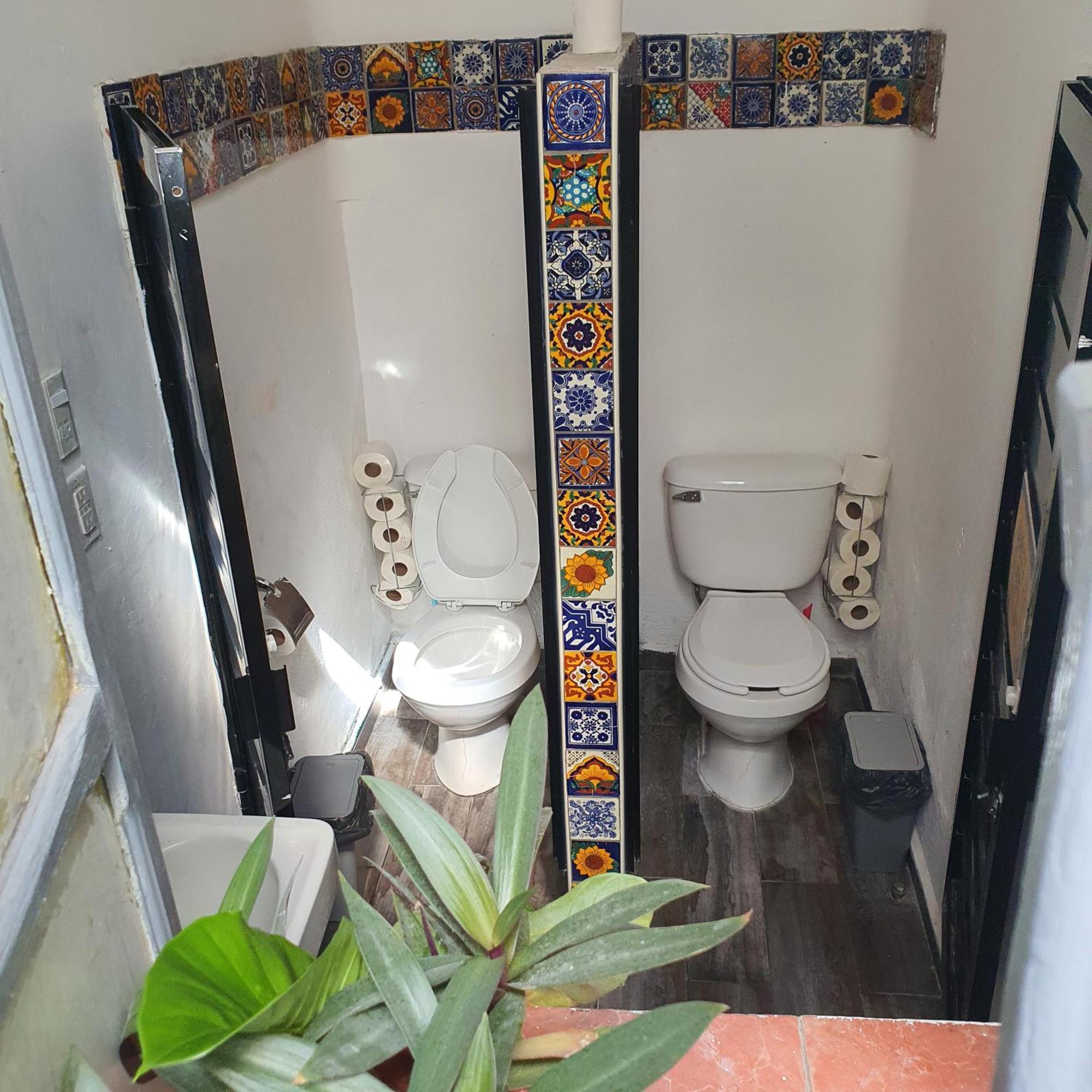 Sukha Hostel San Luis San Luis Potosi Ngoại thất bức ảnh